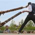 بیل‌گردانی؛ شاید وقتی دیگر