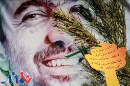 درختی به نام مرحوم علی اکرمی کاشته شد