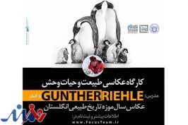 عکاس آلمانی داور جشنواره «خیام» شد