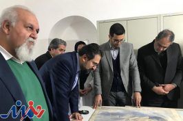 چند پروژه هنری در کرمان آغاز شد