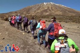 برندگان جشنواره فیلم بنتونویل معرفی شدند