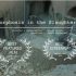 ۲ جایزه برای «مسخ در مسلخ» از اسپانیا