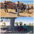 «آپارات» به ۲ جشنواره آمریکایی می‌رود