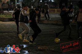 «قطع فوری» بهار به سینماها می‌آید