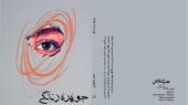 در جستوجوی حقیقت، رنگ و شکل ارزشهای پنهان