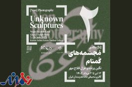 دومین پروژه ناعکاسی در خانه هنرمندان