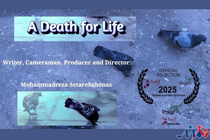 «مرگی برای زندگی» به هندوستان میرود