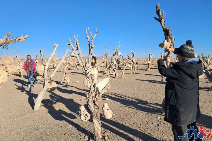 «باغ بهشت» ایرانی در جشنواره انگلیسی