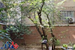 ابتهاج در رشت به خاک سپرده می‌شود