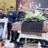 سایه در وطن آرام گرفت