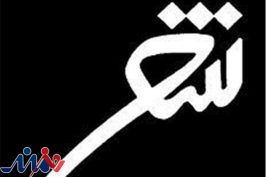 کنگره سراسری شعر عاشورایی باید جریان‌سازی شود
