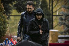 از «گربه سیاه» تا «صحنه زنی» روی پرده سینما