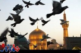نمایش سه فیلم کوتاه با موضوع امام رضا (ع) در «بلیت مشهد»