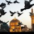 نمایش سه فیلم کوتاه با موضوع امام رضا (ع) در «بلیت مشهد»