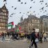 ۱۲ مستندساز از جشنواره ایدفا کنار کشیدند