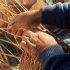 گردشگری خلاق؛ احیاکننده صنایع دستی