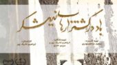 داستان دادخواهی کارگران «هفت تپه» روی پرده سینما