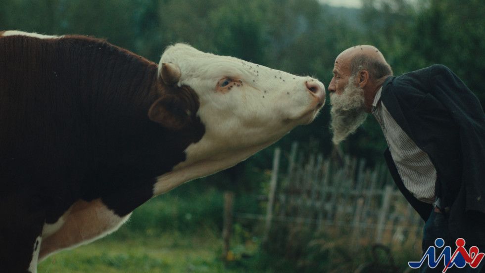 پنجاه و نهمین فستیوال کارلووی واری گوی طلائی خود را به یک فیلم مستند داد