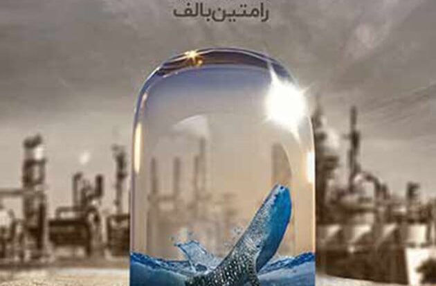 «آخرین کوسه نهنگ» جایزه ویژه هیات داوران اولین دوره جشنواره سازمان همکاری‌های شانگهای را گرفت