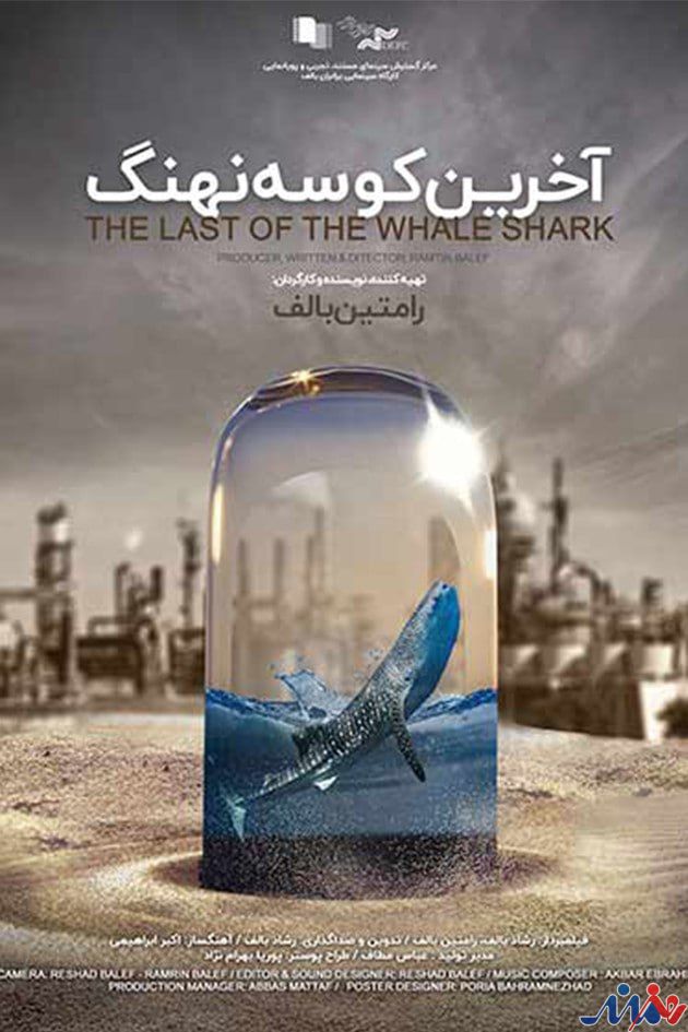«آخرین کوسه نهنگ» جایزه ویژه هیات داوران اولین دوره جشنواره سازمان همکاریهای شانگهای را گرفت