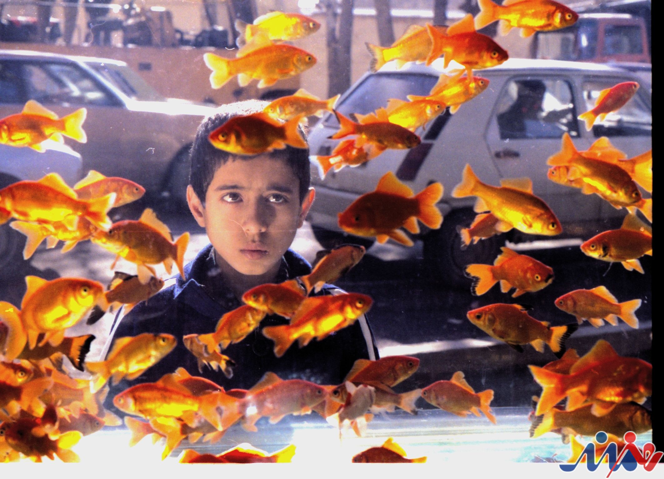 قصه های مجید شبیه زندگی مردم بود