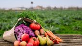 به گزارش  هنرمندنیوز به نقل از تسنیم، بابک کلانی| الگوی کشت پایدار در ایران طی چند دهه گذشته، با وجود تدوین سیاست‌ها و برنامه‌های متعدد، هنوز نتوانسته است به یک نظام پایدار و تثبیت‌شده در بخش کشاورزی تبدیل شود.
